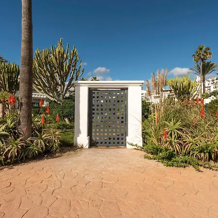 Afrodite - Frontline * Estepona