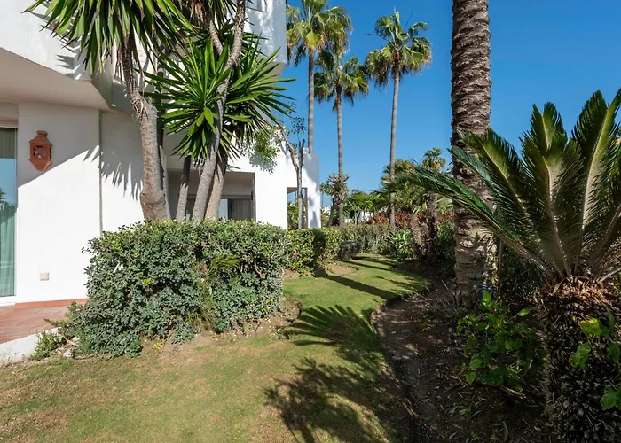 Afrodite - Frontline Estepona