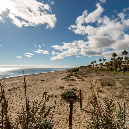 Afrodite - Frontline Estepona