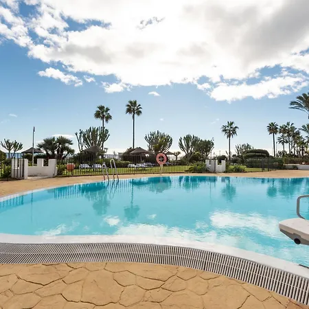 Afrodite - Frontline *