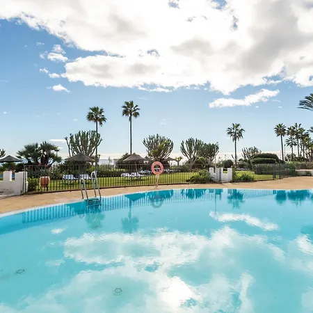 Afrodite - Frontline