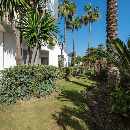 Afrodite - Frontline Estepona