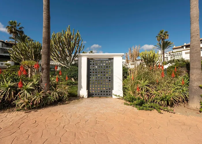 Afrodite - Frontline * Estepona