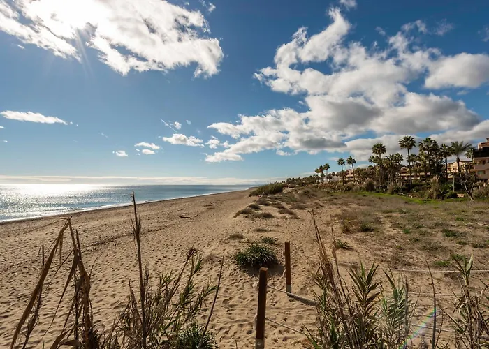 Afrodite - Frontline Estepona