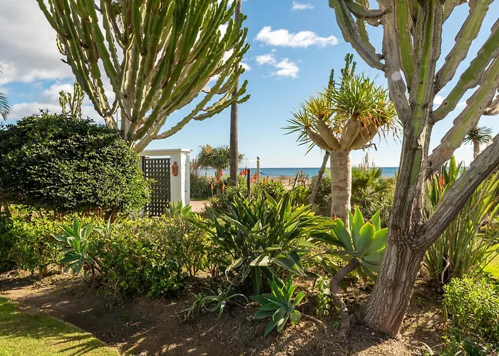 Afrodite - Frontline