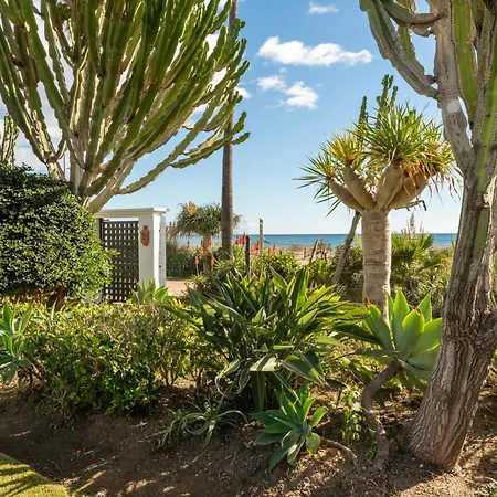 Afrodite - Frontline